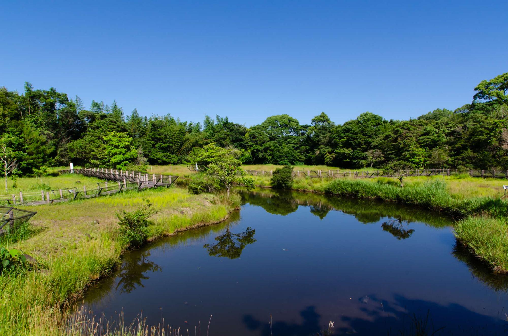 湿原の大鏡