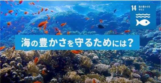SDGs動画リンク5