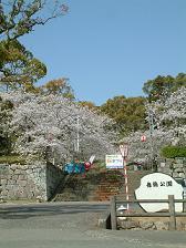 舞鶴公園・城堀公園周辺の写真