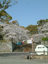 舞鶴公園・城堀公園周辺の写真