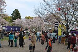 桜まつりの様子の写真