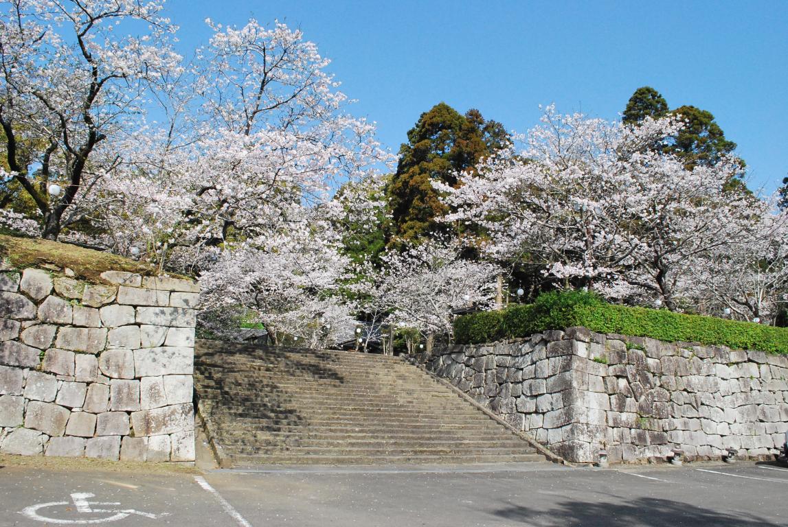 舞鶴公園