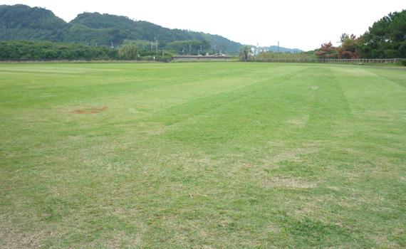 蚊口浜海浜公園多目的広場の写真3