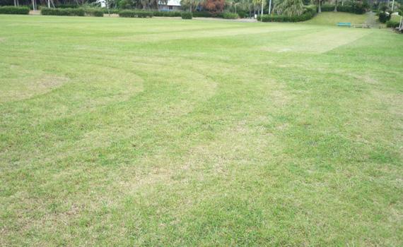 蚊口浜海浜公園多目的広場の写真4