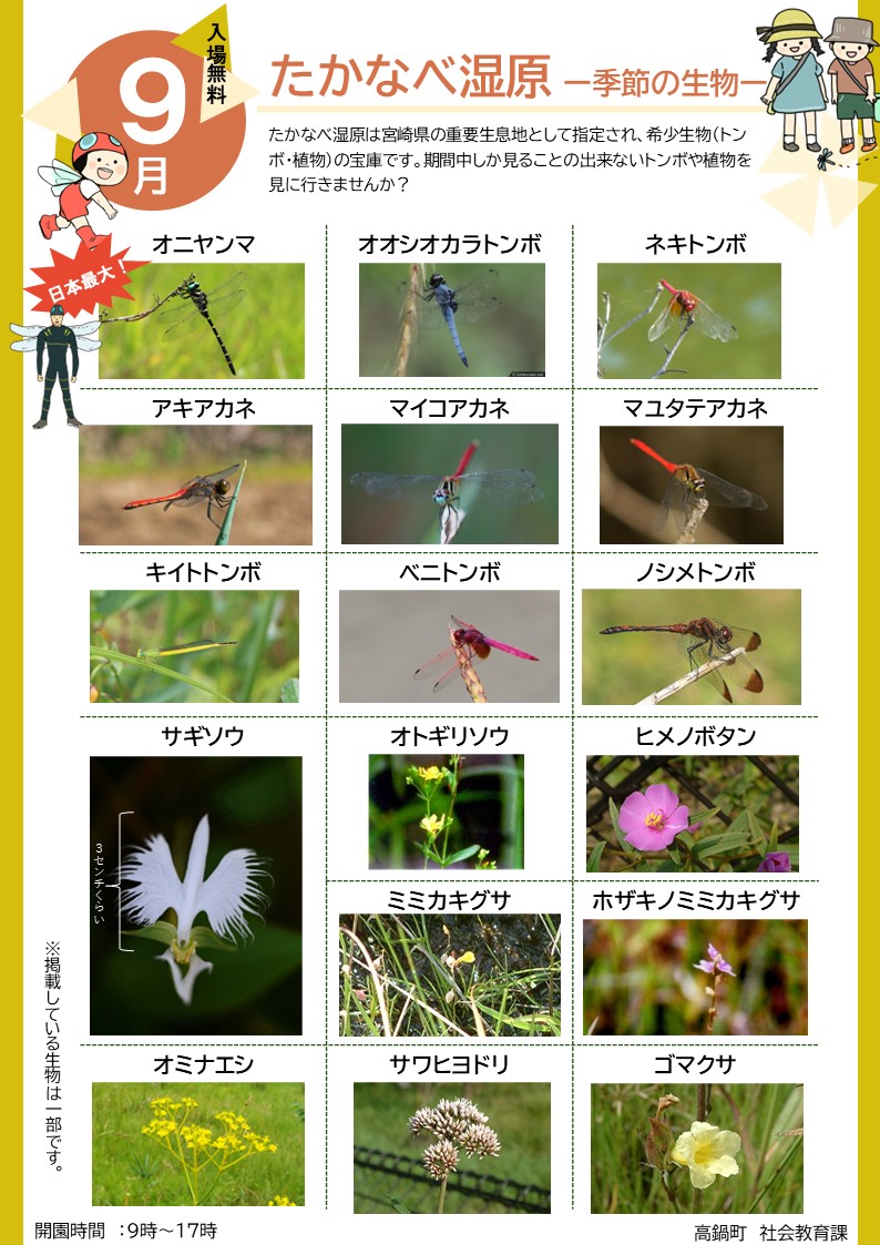 9月の見頃