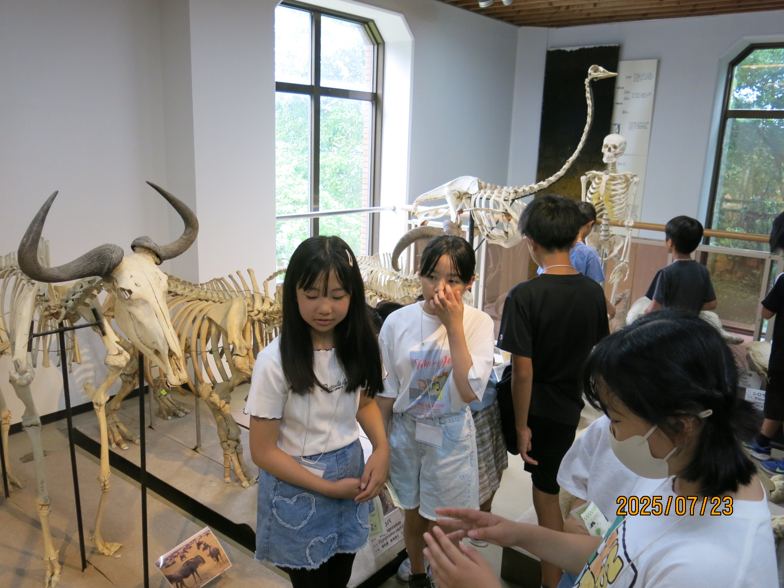宮崎大学農業博物館