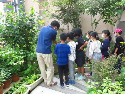 大淀川学習館見学2