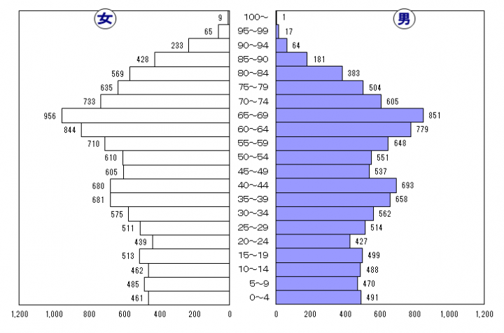 人口ピラミッド