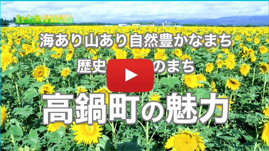 海あり山あり自然豊かなまち高鍋町の魅力